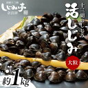 【ふるさと納税】 十三湖のしじみ 活しじみ 大粒 約1kg 【奈良屋】 蜆 シジミ 魚貝類 貝 オルニチン 十三 F6N-161