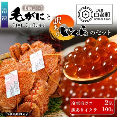ふるさと納税 白老町 冷凍毛ガニ2尾(300g〜340g前後)・訳ありイクラ100gセット 冷凍発送