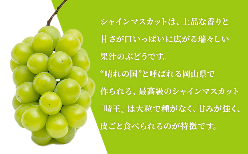 ぶどう 2024年 先行予約 晴れの国 岡山の シャイン マスカット 晴王 定期便 2回(各1房600g以上) 葡萄  岡山県産 国産 フルーツ ギフト