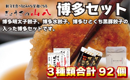 山八餃子博多セット（博多明太子餃子・博多一口黒豚餃子・博多水餃子）[H4385]