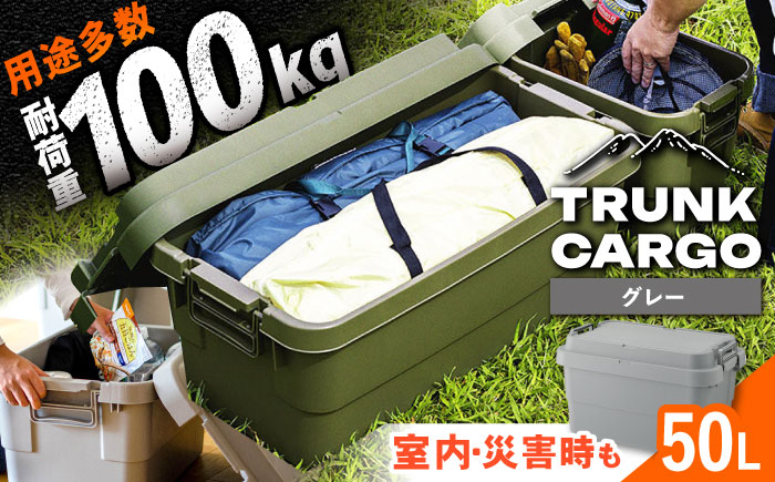 トランクカーゴ グレー Mサイズ 1個 キャンプ ボックス 収納 アウトドア / 恵那市 / 東谷株式会社　明智流通センター [AUAD032]