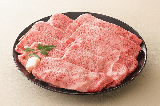 【ふるさと納税】【レビューキャンペーン対象商品】飛騨牛 しゃぶしゃぶ 用 ロース 肉 約700g