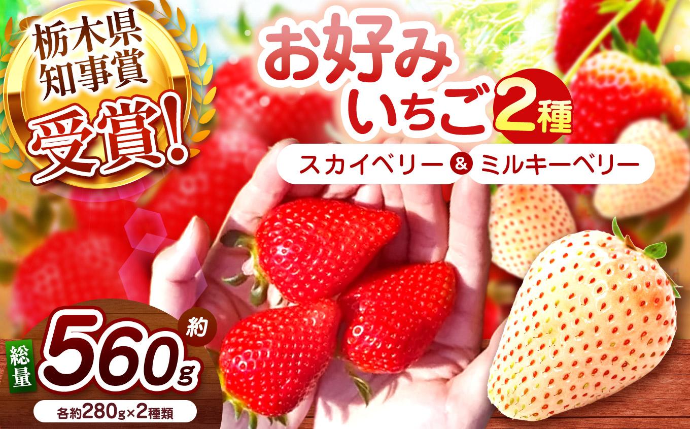 【2027年先行予約】大粒スカイベリー×白いちごミルキーベリー 食べ比べセット 560g