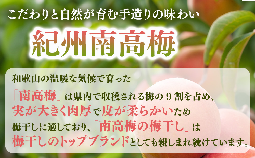 【定期便/2か月ごと/全5回】紀州南高梅しそ漬つぶれ（塩分約15％）700g×2