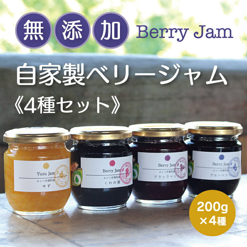 【ふるさと納税】【21】Berry Jam