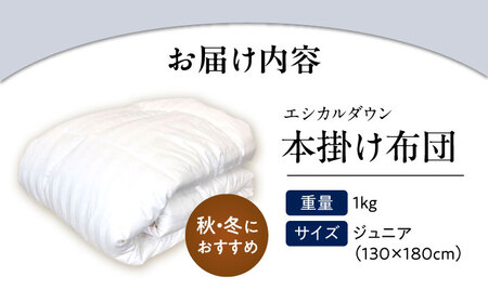 洗える ホコリが出にくい『掛け布団』〈ジュニア〉