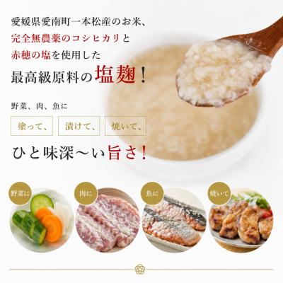 ふるさと納税 愛南町 塩こうじ200g コチュジャン200g 各1パック 愛媛県 愛南町 マルヤス味噌 |  | 01