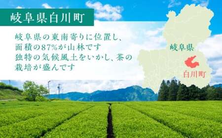 あんぱん饅頭 まんじゅう パン 餡子 銘菓 白川町 / 白川菓匠 大黒屋[AWAA005]