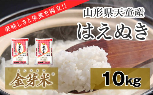 06B1114-1　金芽米はえぬき10kg[令和6年産]