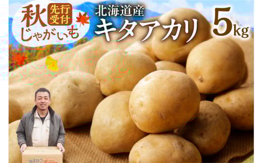 先行受付！ホクホク！しっとりなめらか！ 北海道産 キタアカリ いも じゃがいも きたあかり イモ 約5kg じゃがいも いも 芋 産地直送 秋_S041-0007