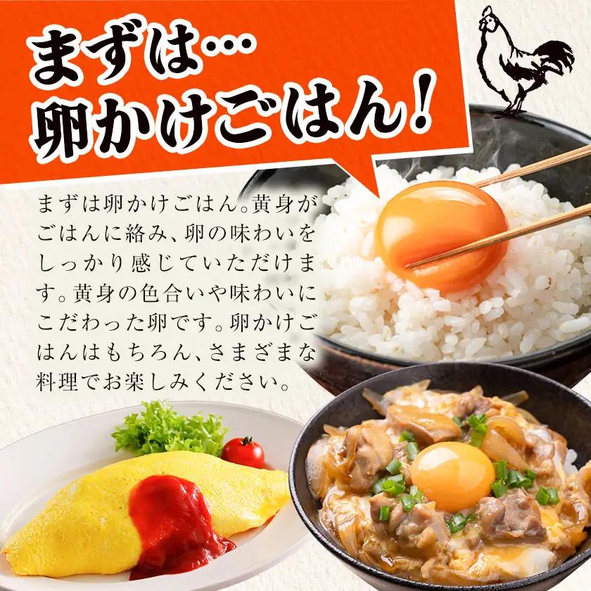 【6か月定期便】君嶋養鶏園のたまご Lサイズ 30個（27個＋割れ補償3個）×6ヶ月 計180個 | 定期便 6ヶ月 6か月 6ヵ月 卵 玉子 たまご 赤卵 赤たまご 生卵 国産 濃厚 鶏卵 コク 旨