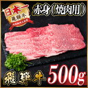 【ふるさと納税】飛騨牛 赤身(焼肉用) 500g【配送不可地域：離島】【1543752】