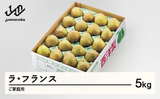 
            ラ・フランス ご家庭用 約5kg(8~20個程度)  洋梨  2025年産 山形県産 ※沖縄・離島への配送不可 tf-lamxx5
          