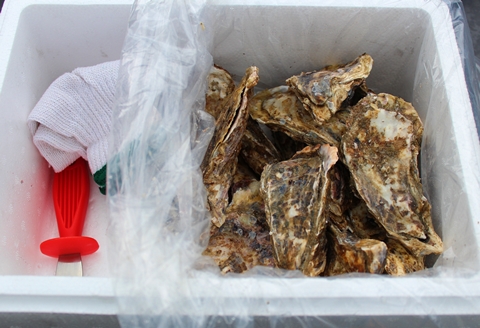 【北海道根室産】殻付カキ90～120g×12個 A-57055