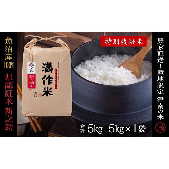 【ふるさと納税】【2025年産新米】【県認証】魚沼津南産新之助 5kg(5kg×1袋) 選べる配送回数 産地限定！農家直送