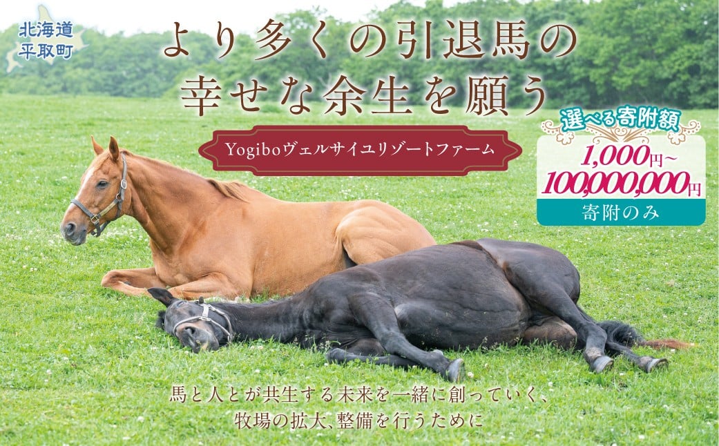 
                  【選べる寄附額 返礼品無し】より多くの引退馬の幸せな余生を願う　Yogiboヴェルサイユリゾートファーム（1口 1,000円～1億円）【ふるさと納税 人気 おすすめ ランキング 馬 競馬 競走馬 引退馬 高齢馬 養老牧場 北海道 平取町 送料無料】BRTV024-v
                