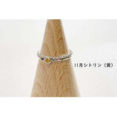 ふるさと納税 大府市 【セットで楽しむ】誕生石リング&ねじねじリング(シルバー) |  | 02