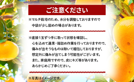 訳あり(家庭用) サイズお任せ 極早生みかん 5kg 3S〜Mサイズ - 訳アリ フルーツ 果物 くだもの 果実 甘い あまい 酸味 蜜柑 ミカン 柑橘 ご自宅用 旬 季節 かなや農園 合同会社Ben
