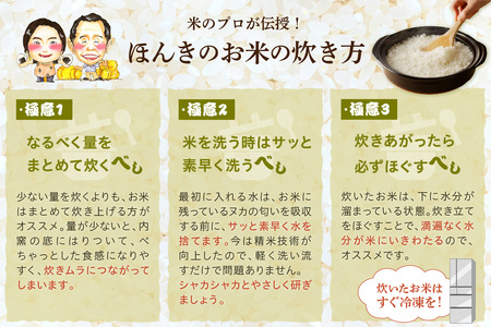 【令和7年産】【定期便】ほんき村のこしひかり 30kg（5kg×6回コース）産直米 特産 お米 精米 白米 玄米 ごはん ご飯 コメ 新米 30キロ 30kg 【197_1953】