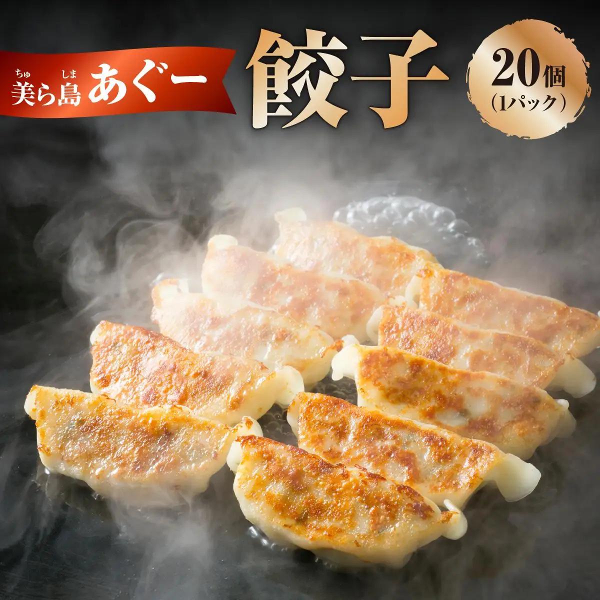 【美ら島あぐ～】餃子（20個入り／1パック×20個入り）   