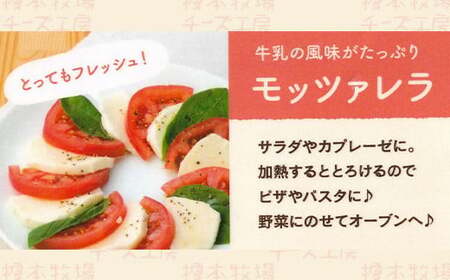 モッツァレラチーズ 200g (100g×2)【榎本牧場チーズ工房】