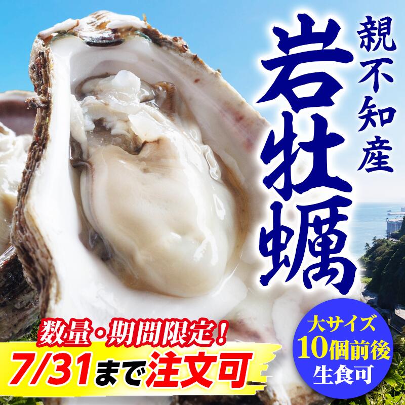 【ふるさと納税】【先行予約】親不知産 天然岩牡蠣(生食用) 大サイズ10個前後 2026年7月中旬以降順次発送 鮮度抜群！ 水揚げ直後に発送 日本海 かき カキ 岩ガキ 水揚げ直後に発送 親不知産 糸魚川 親不知おさかなセンター 牡蠣 新潟県 期間限定 産地直送 生牡蠣 国産