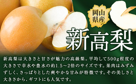 【先行予約】梨 岡山県産 新高梨 約3kg ( 4～6玉 ) 【配送不可地域あり】 株式会社藍《9月下旬-10月下旬頃出荷》 岡山県 浅口市 岡山県産 なし フルーツ 果物 くだもの ナシ 大玉 新高