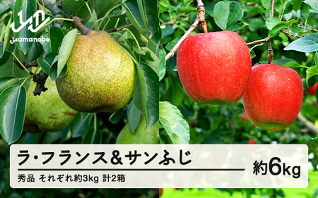 【先行予約】ラ・フランス サンふじセット 約6kg 各約3kg(6~12個程度) 各1箱 計2箱 秀品程度 洋梨 りんご 2026年産 山形県産 ※沖縄・離島への配送不可 tf-fslrx3
