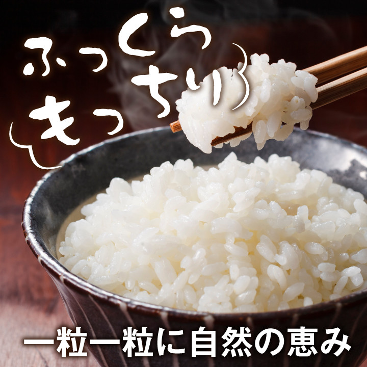 MS-96 大山町産こしひかり【大山の一粒】２ｋｇ（白米）