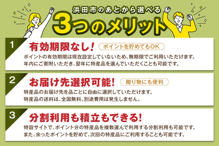 ≪1口・1,000円≫島根県浜田市ポイントをためる あとから返礼品を選ぶ【浜田市】 あとから選べる 選べる 選ぶ あとから 【140_1538】