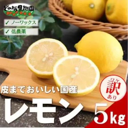 【ノーワックス】訳あり・ご家庭用 国産レモン 5kg (サイズおまかせ)【2027年2月以降発送】【1752410】