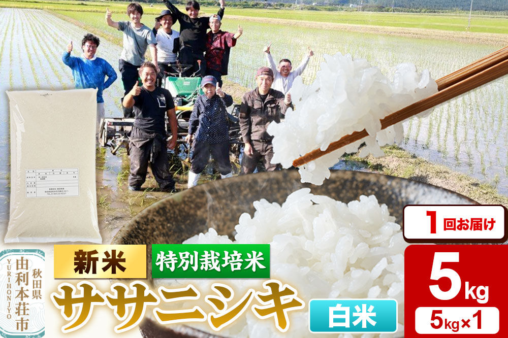 《令和8年産 新米》【白米】特別栽培米 ササニシキ 5kg（5kg×1袋） [ササニシキ 新米 米 お米 こめ 白米 精米 ブランド米 食卓 おにぎり 秋田県産 秋田]