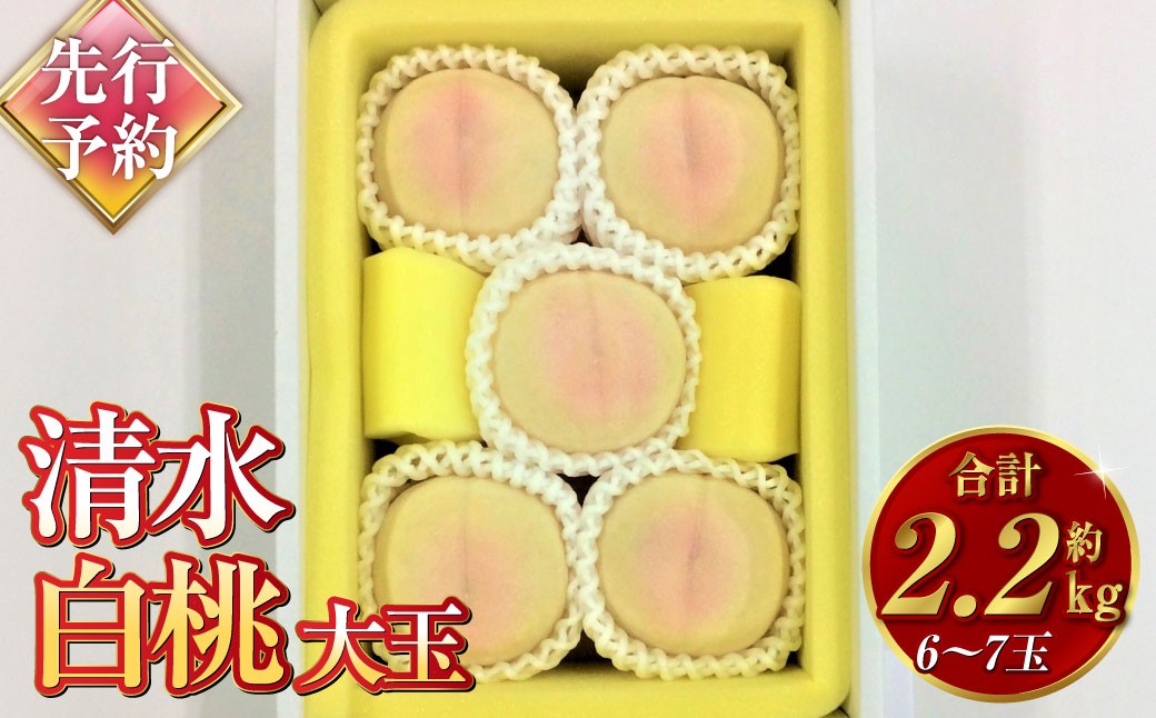 
                  清水白桃（大玉）6～7玉（約2.2kg）岡山 名産品 清水白桃 贈りもの 柔らかい【2027年7月下旬～8月上旬迄順次発送予定】
                