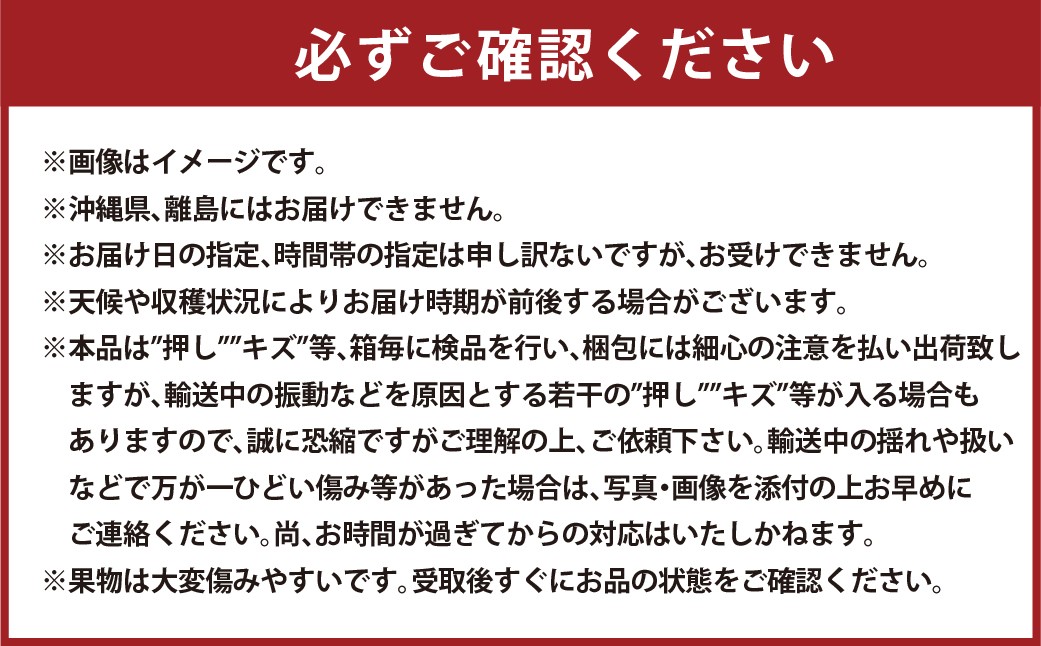 厳選 藤稔 2房 合計1.0kg以上