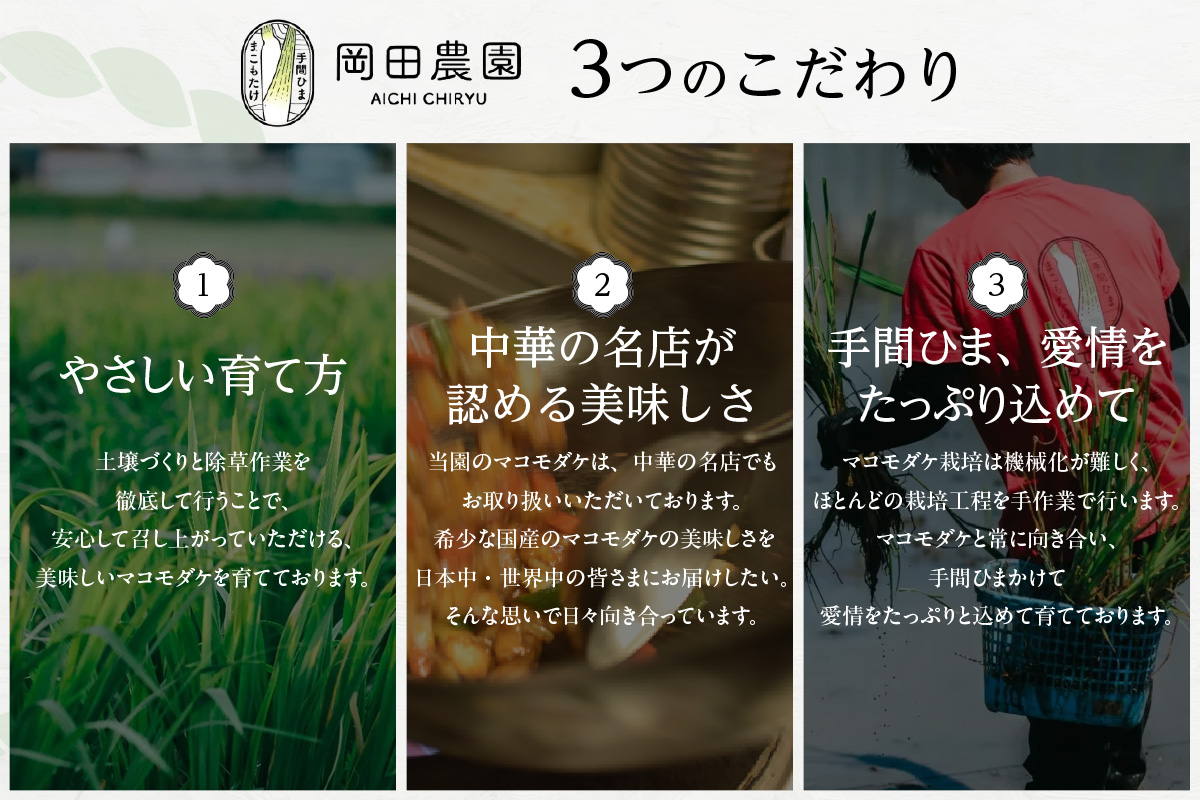 知立市特産　マコモタケ(1kg)　（6～8本）（2158）