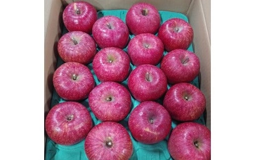 りんご（サンふじ）５ｋｇ　８～１６玉　ご家庭用　0030-2513