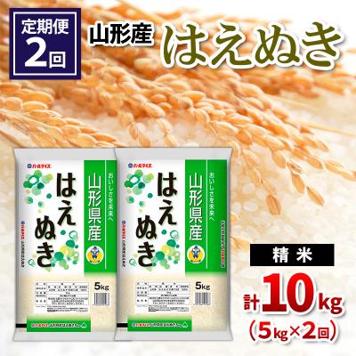 ふるさと納税 山形市 【定期便2回】山形県産 はえぬき 精米 5kg×2回(計10kg) FZ26-847
