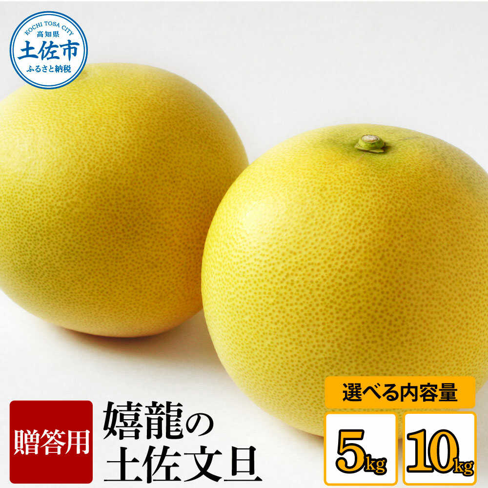 【ふるさと納税】【先行予約】【選べる内容量】嬉龍の土佐文旦 贈答用 2〜3L 5〜10kg 〈2027年1月中旬〜発送〉土佐文旦 高知 柑橘 フルーツ ぶんたん 果物 甘い 旬 産直 お取り寄せ 季節限定 10キロ 大量 まとめ買い 高知県土佐市/嬉龍[BQAY003]