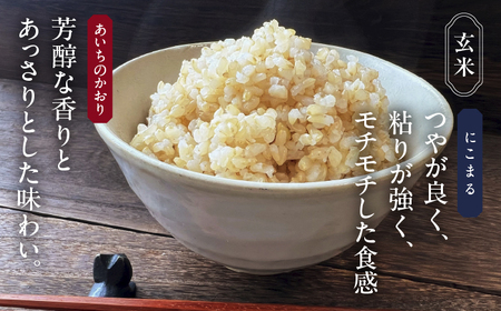 玄米 2種（にこまる・あいちのかおり） 計20kg 特別栽培米／TONORI[AECT013]