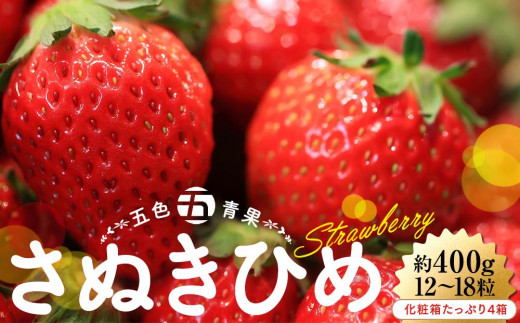 さぬきひめいちご化粧箱たっぷり約400g(12～18粒) 4箱【2027-2月上旬～2027-4月中旬】