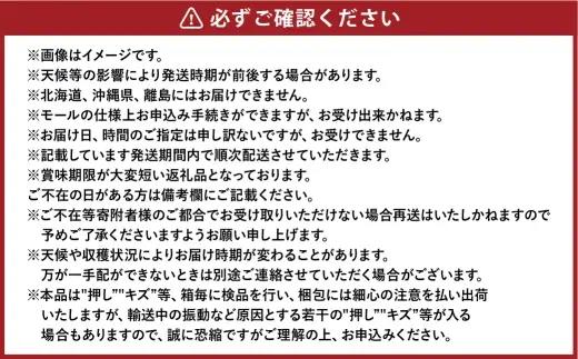 岡山白桃 ロイヤル3玉×約200g 計約600g 岡山県産 【2027年7月上旬～8月下旬まで順次発送予定】 モモ もも 桃 白桃 果物 フルーツ 岡山県 倉敷市