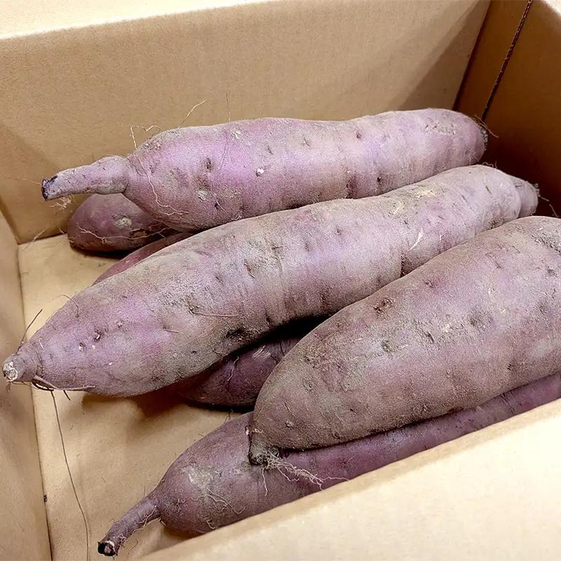 【先行予約】＼豪華4種！食べ比べ／ さつまいも 8kg セット（各2kg）（2026年10月以降順次発送）北海道産 品種おまかせ 紅はるか シルクスイート すずほっくり クイックスイート 安納芋 ゆき