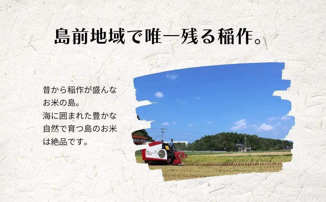 【令和8年度産】＜定期便4ヵ月＞お米 きぬむすめ 5kg×4回 定期便 お米