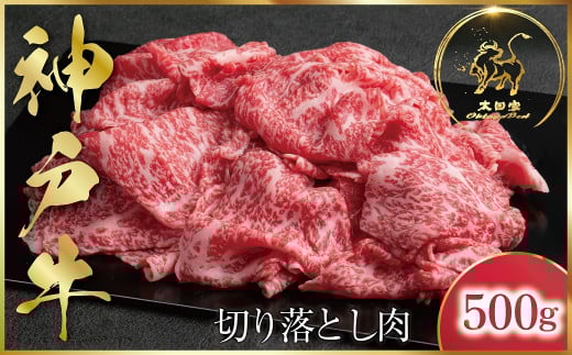 神戸牛 訳あり 切り落とし肉 500g (ASGS1)  ふるさと納税 神戸牛 神戸ビーフ ブランド和牛 訳あり 訳アリ 部位 大きさ不揃い 国産 和牛 切り落し 切落し 太田家 兵庫県 神戸 但馬 朝来 朝来市 新鮮
