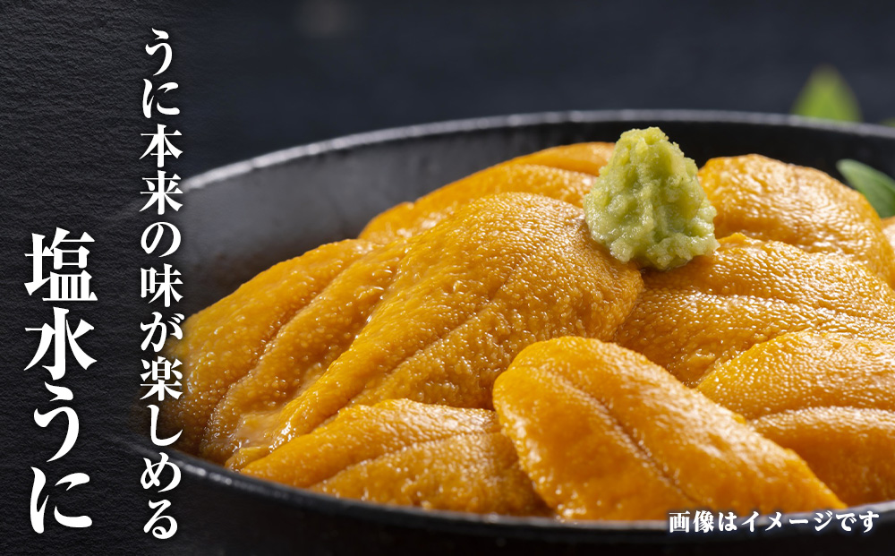 2025年 発送予約 ウニ本来の味が楽しめる【白老産】塩水ムラサキウニ 100g×3パック BT009_イメージ3