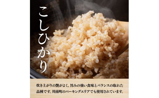 【令和7年産】永友農園産「こしひかり(玄米)」5kg　【 米 お米 玄米 国産 宮崎県産 コシヒカリ 】[C10601]