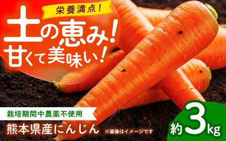 【先行予約】にんじん 約3kg 天日塩＆発酵土壌で作ったこだわりの人参 【株式会社 夢アグリ】[ZCL018]
