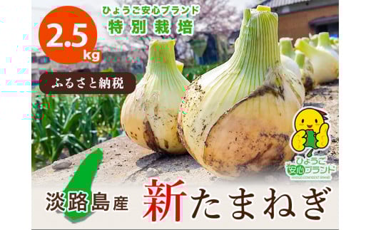 【あさひサンファーム】兵庫県認証★特別栽培★淡路島新たまねぎ【2.5㎏】（配送3月上旬～）