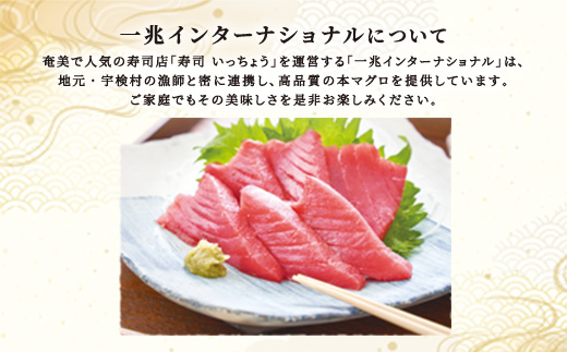 宇検村産 本マグロ 簡単 お刺身 赤身 柵 200g 冷凍 養殖