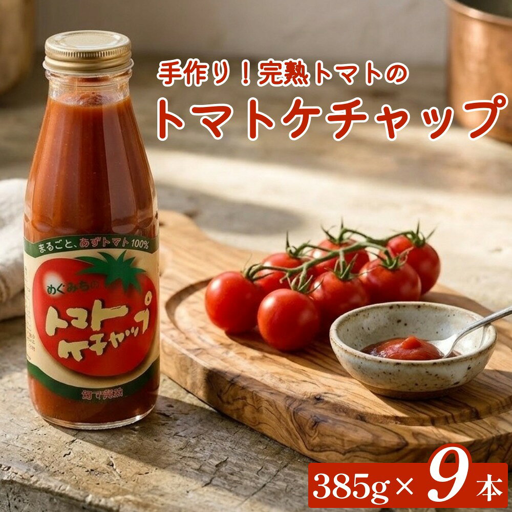 【ふるさと納税】【めぐみ会】トマトケチャップ 9本セット 完熟トマト 手作り